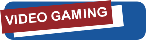 VIDEO GAMING
